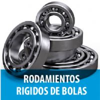 RODAMIENTOS RIGIDOS DE BOLAS 